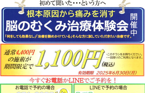 【福岡市早良区干隈】脳のむくみ治療体験会のチラシを配布｜ひまわり整体院様